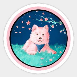 Samoyed Puppy sitting under cherry blossoms Sticker